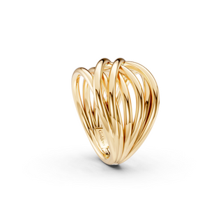 #R6790 - Tangled Wire Ring