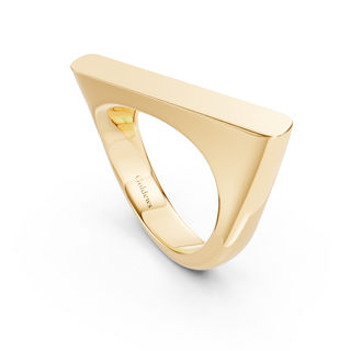 #R6740 - Rotated Top Ring