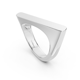 #R6740 - Rotated Top Ring