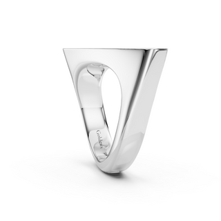 #R6740 - Rotated Top Ring