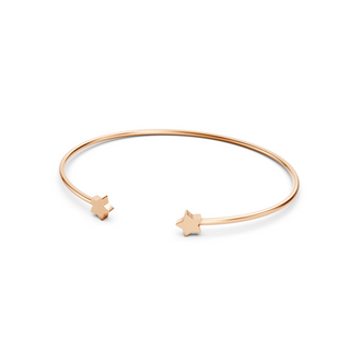 #B67131 - Dual Star Bangle
