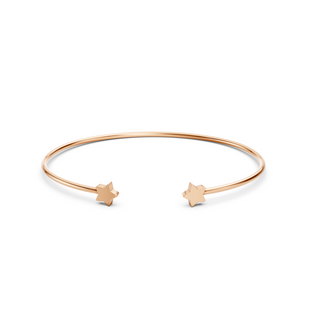 #B67131 - Dual Star Bangle