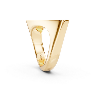 #R6740 - Rotated Top Ring
