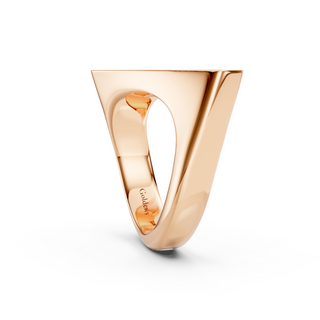 #R6740 - Rotated Top Ring
