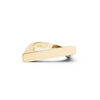 #R6740 - Rotated Top Ring