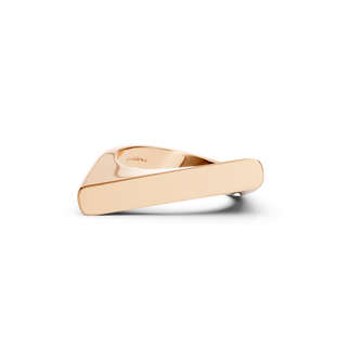 #R6740 - Rotated Top Ring