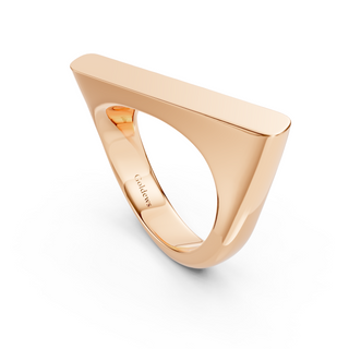 #R6740 - Rotated Top Ring